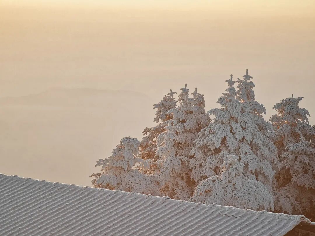 雪与太阳这两种看似难以共存的景象此刻却奇妙地交织在一起构成了一幅如梦如幻的绝美画卷