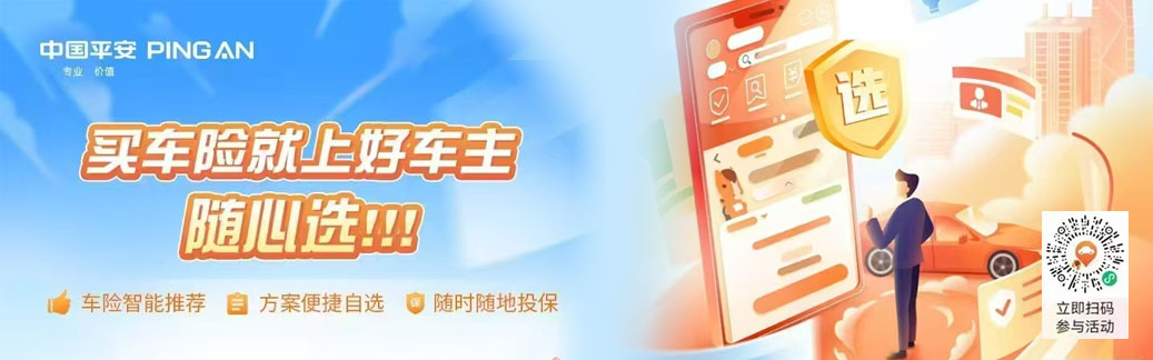 买车险上好车主