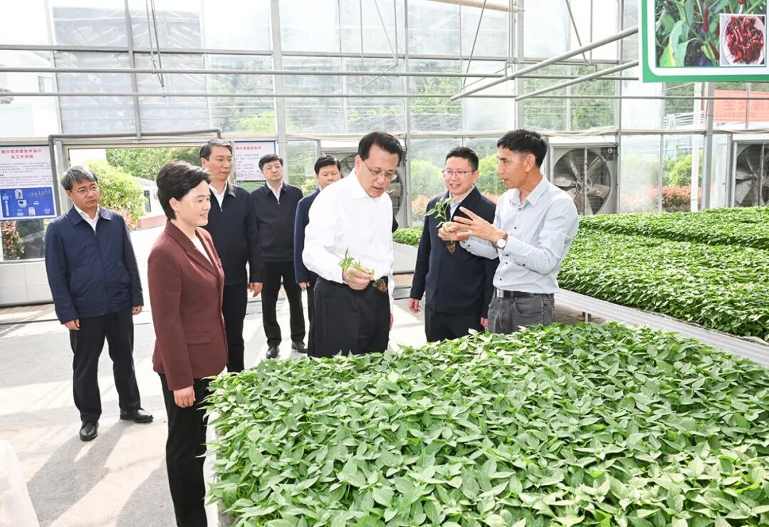 袁家军：发挥优势 改革创新 扎实推动山区库区强县富民现代化